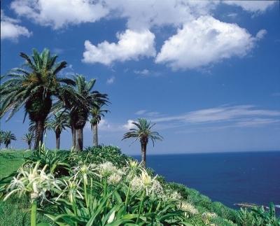 Miyazaki 5C'S Hotel 外观 照片